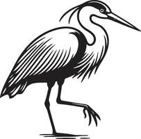 Heron Standing Sketch Illustration. vector