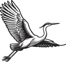 Heron Flying Sketch Illustration. vector