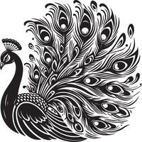 A Peacock Sketch Illustration. vector