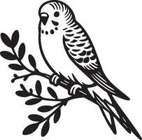 Budgie on Branch Sketch Illustration. vector