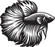 A Betta Splendens Fish Sketch. vector