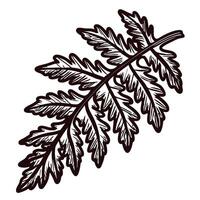 Detailed monochrome of a fern leaf with intricate patterns vector