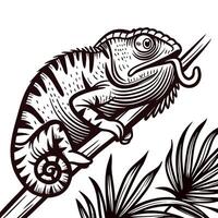 Chameleon perched on a branch in black and white tropical setting vector