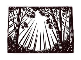 Sunbeams filtering through forest trees in black and white nature scene vector