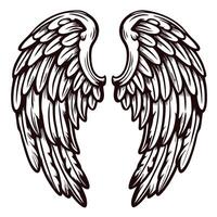Detailed angel wings line drawing with intricate feather patterns vector
