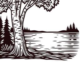 Serene lakeside scene with birch trees and pine forest in black and white art vector