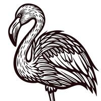 Stylized flamingo in black and white art design vector