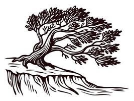 Artistic depiction of a windswept tree on a cliff edge vector