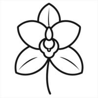 Orchid flower from phalaenopsis species drawn in graceful continuous one line art style showcasing detailed floral elegance and beauty in botanical themes vector