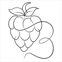 Minimalistic raspberry fruit sketch in continuous line art ideal for clean aesthetic designs natural food themes and fruit themed digital or print content vector