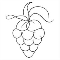 Artistic raspberry fruit in clean continuous line art style great for juice bar menu designs botanical decor or educational food-related content visuals vector