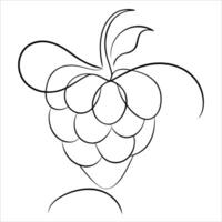 Botanical raspberry fruit drawing created in elegant continuous line art style suitable for wellness branding organic food labels and nature inspired design projects vector
