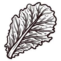 Detailed of a leaf with prominent veins and edges vector