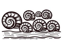 Stylized spiral shells by the ocean on a white background vector