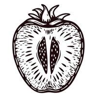 Monochrome of halved strawberry with detailed seeds and leaves vector