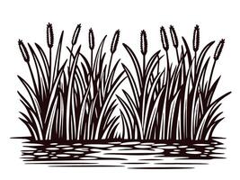 Silhouette of tall cattails along a tranquil pond vector