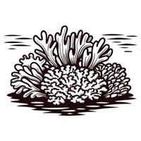 Intricate coral reef featuring detailed marine flora vector
