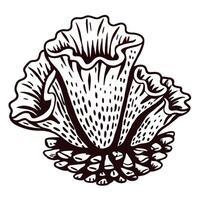 Detailed black and white outline of coral structure with intricate patterns vector