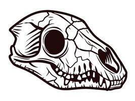 Detailed of a fossilized prehistoric animal skull with cracks and distinct features vector