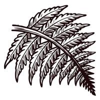 Intricate black and white fern leaf design with detailed pattern vector