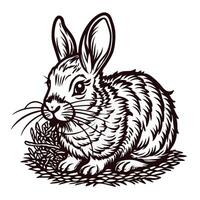 Detailed black and white of a rabbit in a natural setting vector