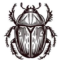 Detailed of a beetle with intricate patterns and texture vector