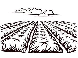 Expansive plowed agricultural field with cloudy sky in monochrome line art vector
