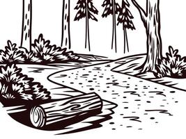 Nature trail in forest with lush trees and log pathway vector