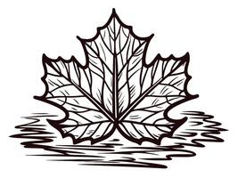 Maple leaf with reflective water surface pattern vector