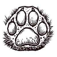 Detailed bear paw print with claw marks and fur texture vector