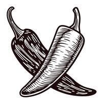 Black and white engraving of two chili peppers on a white background vector