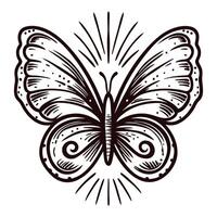 Intricate butterfly design with radiating patterns in monochrome vector