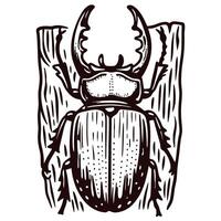 Stag beetle on textured wood background vector