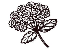 Black and white botanical of floral cluster with leaves vector
