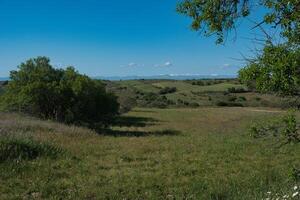 Scenic landscape showcasing rolling hills and greenery in a serene rural setting during daytime photo