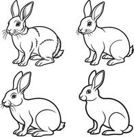 line art rabbit image set design vector