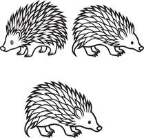 Porcupine line art design set vector