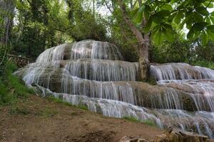 Lush waterfall cascading over rocks in a serene green forest during daylight hours photo