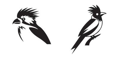 silhouette of a jay birds vector
