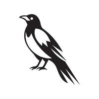 Silhouette illustration of magpie bird vector