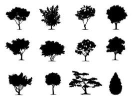 silhouette tree line drawing set, Side view, set of graphics trees elements outline symbol for architecture and landscape design drawing. illustration in stroke fill in white. Tropical vector