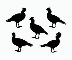 Junglefowl Silhouette Simple EPS Template vector