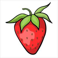 Red Ripe Drawn Strawberry On White Background vector