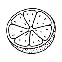 Lovely black and white half of orange with ripe and sour pulp. Cute sliced tropical citrus fruit full of vitamin C. Refreshing grapefruit doodle isolated on background for poster, menu, packaging. vector