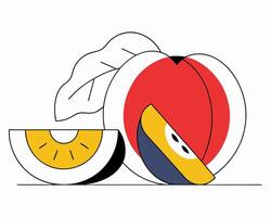 Modern Fruit Illustration Peach and Melon Slices vector