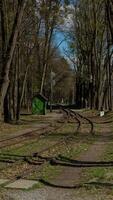 Curved Railway Tracks in Forest Park Setting photo
