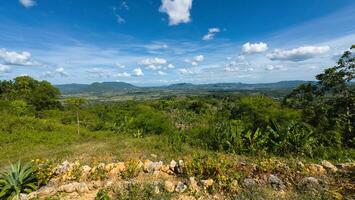 nature view on top of a mountain photo