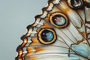 Close-Up Butterfly Wing Detailed Texture, Hues, and Patterns of an Insect Wing's intricate Design, Revealing Nature's Artistic Mastery with Exquisite Color Combinations and Symmetrical Forms. photo