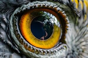 Exploring the Intricate Details A Bird's Eye in Stunning Close-Up, Revealing the Complex Structures and Vibrant Colors of Avian Vision, Showcasing Nature's Marvels with Breathtaking Clarity. photo