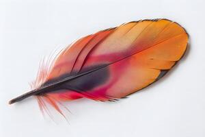 Vibrant Bird Feather Close-Up View of Intricate Texture and Striking Color Gradient, Showcasing Nature's Artistic Design with Detailed Macro Photography. photo